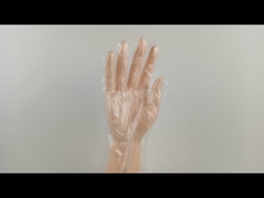 Persiapan Makanan Sarung Tangan Polietilena Sekali Pakai Ringan Tahan Lama OEM